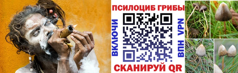 где купить наркоту это какой сайт Галлюциногенные грибы прущие грибы Михайловск